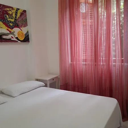 Oasi